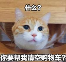 双十一到了表情包.